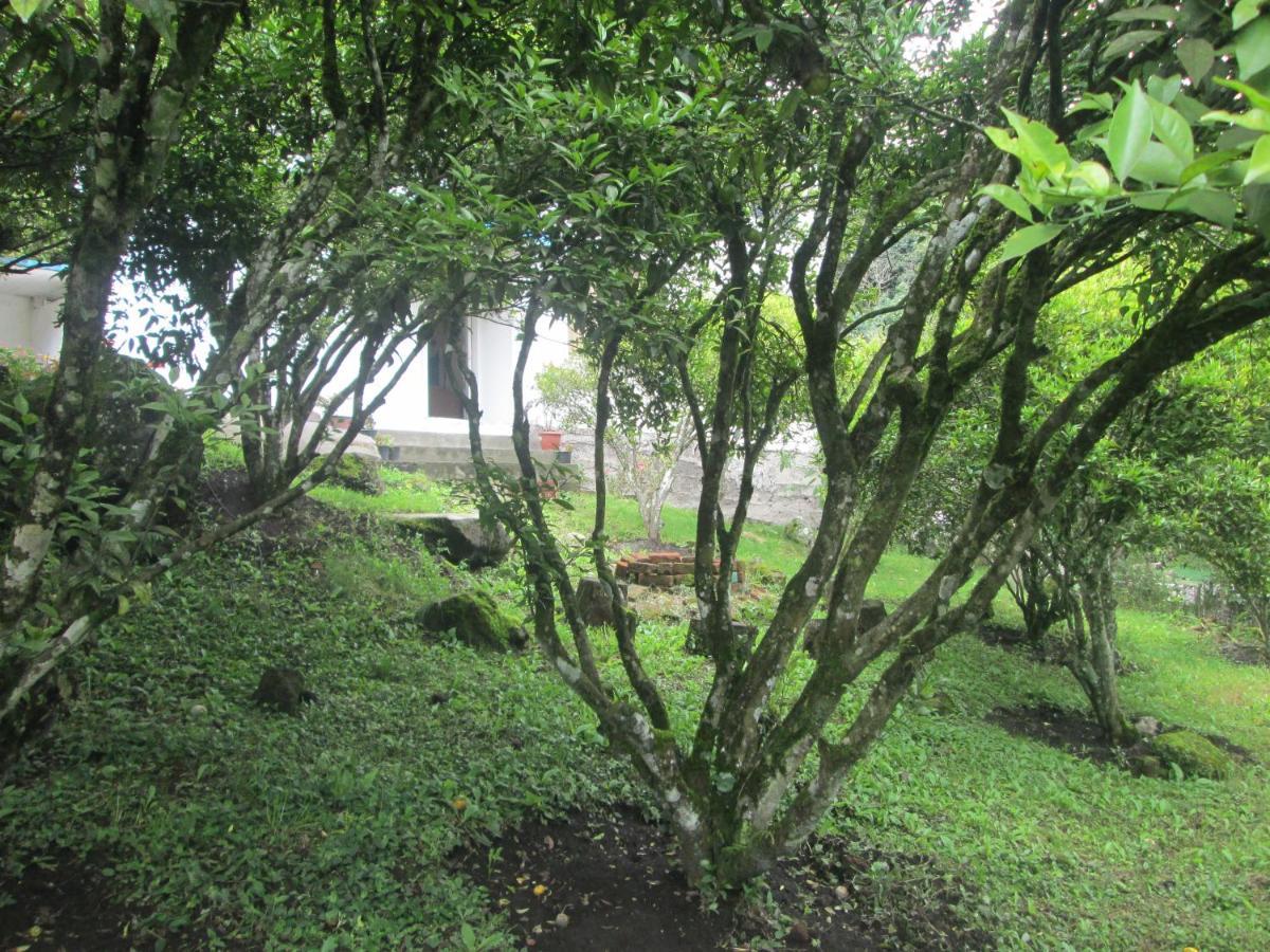 Vila Casa Martin En Banos De Agua Santa Exteriér fotografie